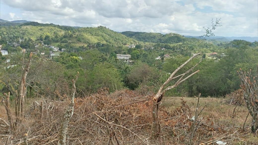 COTTON TREE HEIGHTS, CHIL, Anchovy, St. James Parish Land for Sale