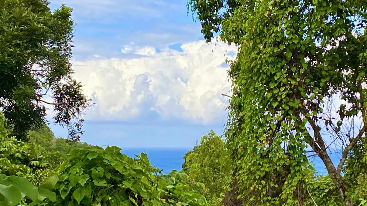 GIBRALTAR ESTATE, Oracabessa, St. Mary Parish Land for Sale