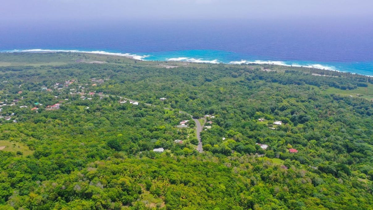 WOODSTOCK ESTATE BUFF BAY, Buff Bay, Portland Parish Land for Sale