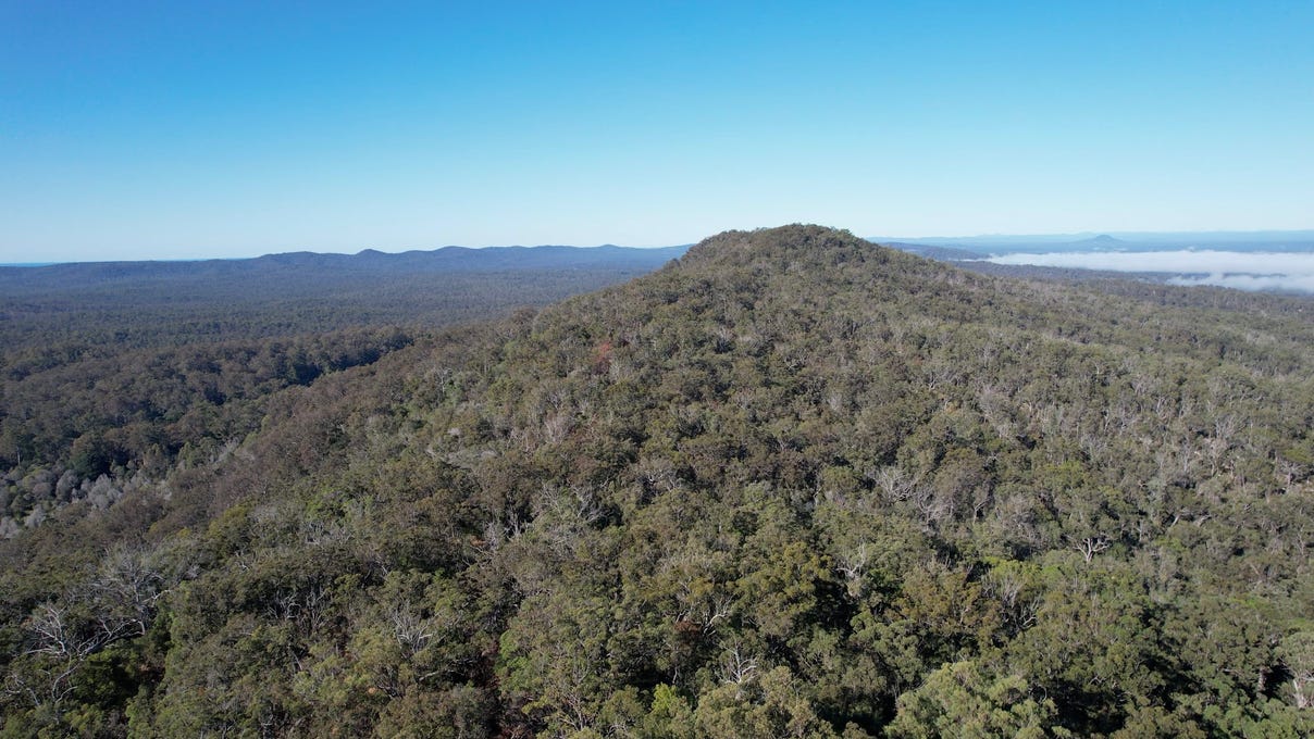 "Hillsbank", 627 TucabiaTyndale Road, Tucabia, NSW 2462 Rural for Sale